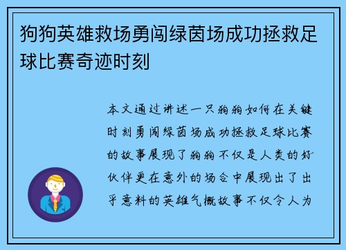 狗狗英雄救场勇闯绿茵场成功拯救足球比赛奇迹时刻