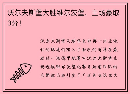 沃尔夫斯堡大胜维尔茨堡，主场豪取3分！